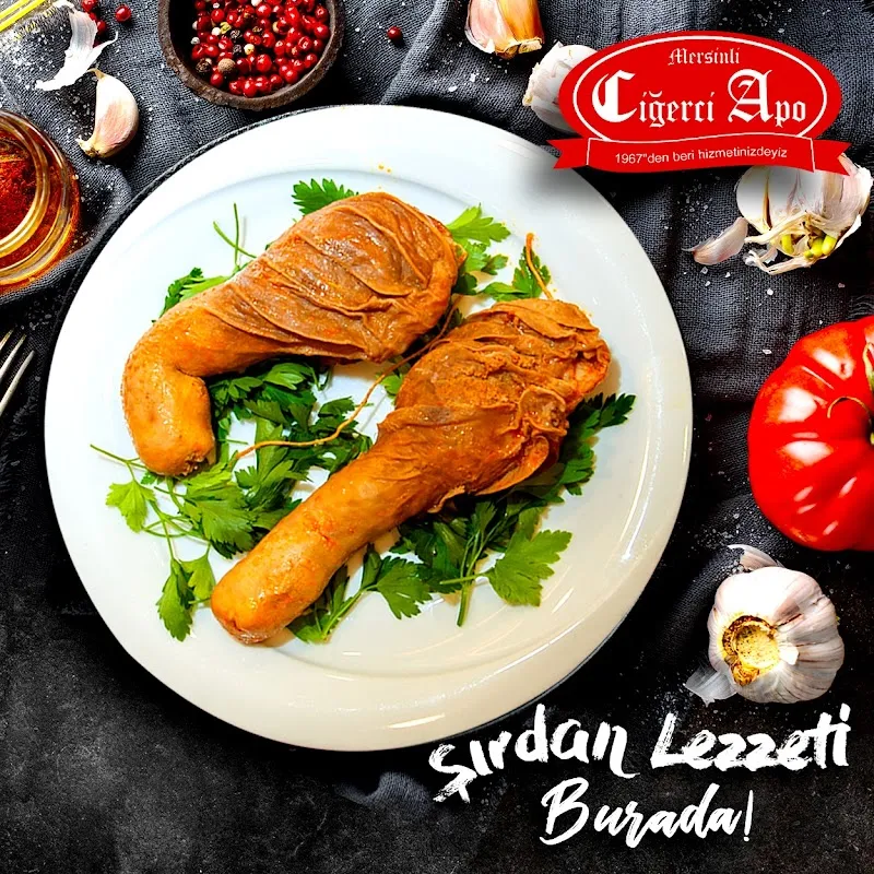 Mersinli Ciğerci Apo - 2