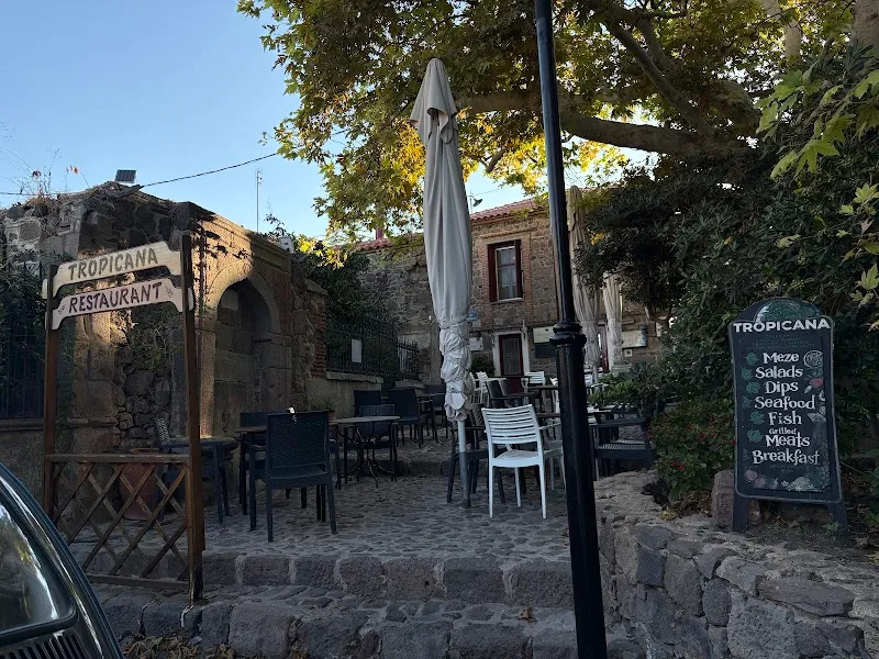 Tropicana Platanos - 3