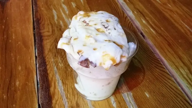 Tekin Usta %100 Keçi Sütü Dondurma - 2