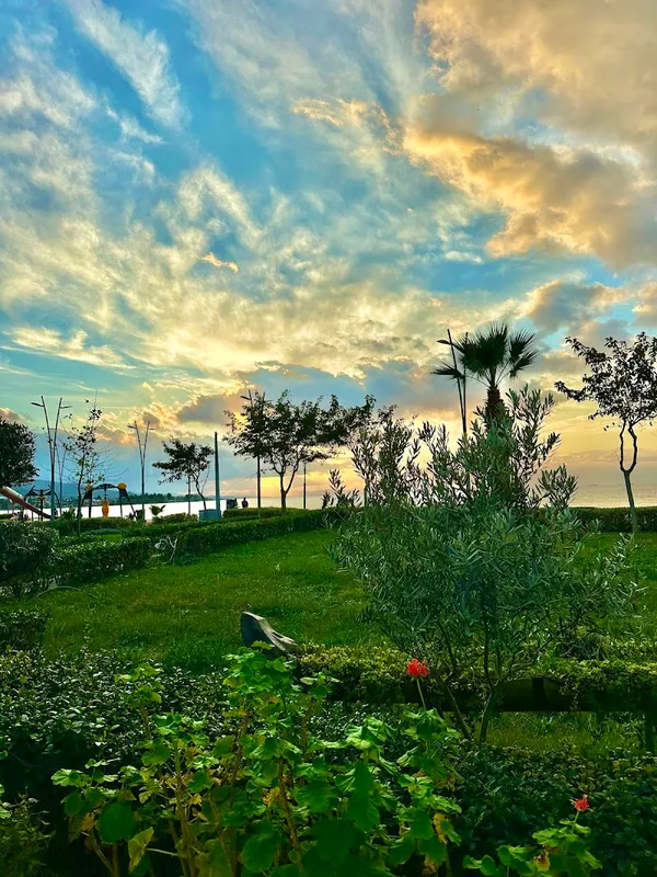 Zaitun Seafood Cafe & Restaurant - 5