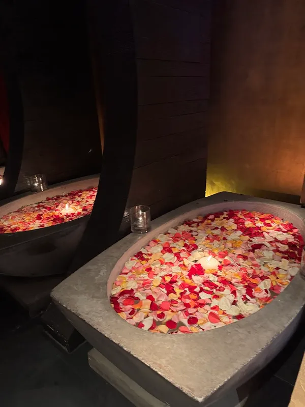 TAO Asian Bistro & Nightclub - 5