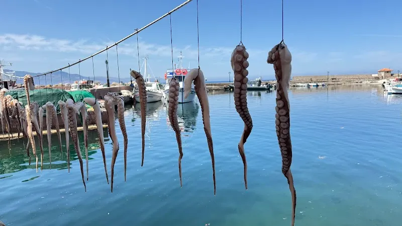 The Octopus Restaurant - 5