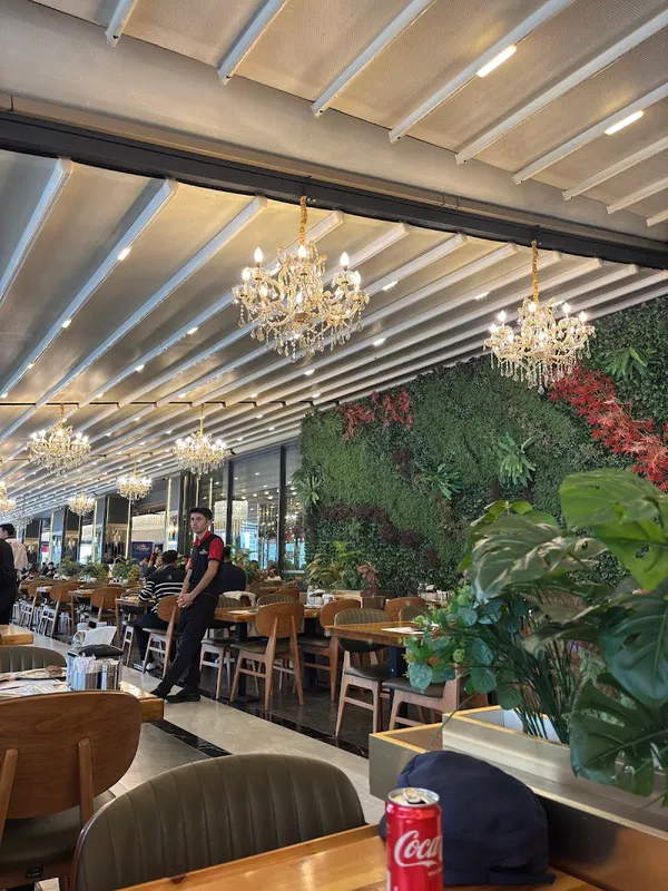 Mersinli Ciğerci Apo - 5