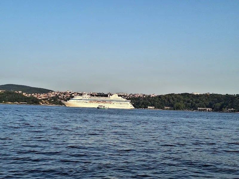 Arnavutköy Balıkçısı Yeniköy - 3