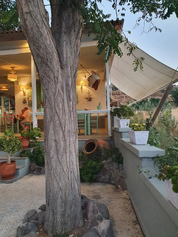 Avlaki Restaurant - 5