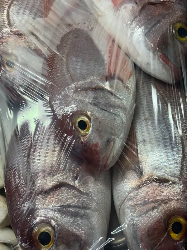 Anemoessa Restaurant - 2