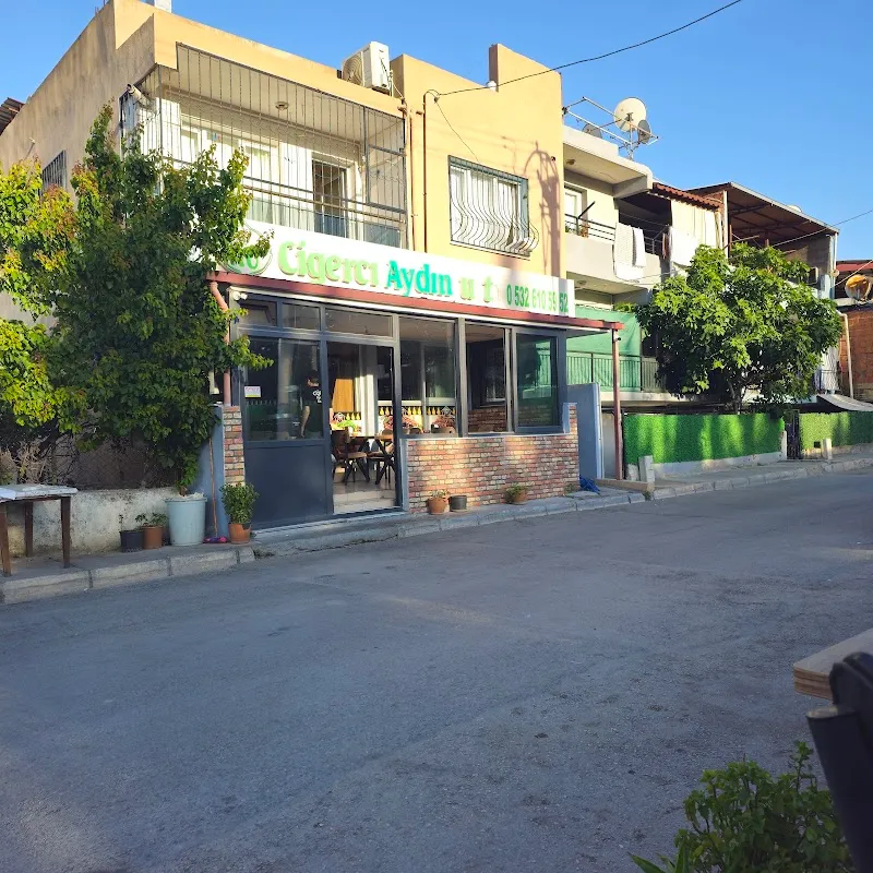 Ciğerci Aydın Usta - 5