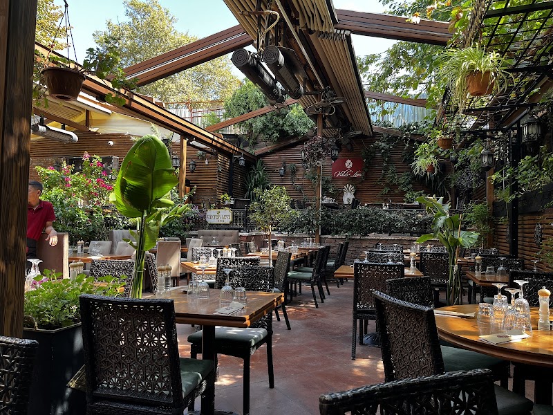 Viktor Levi Şarap Evi - 4